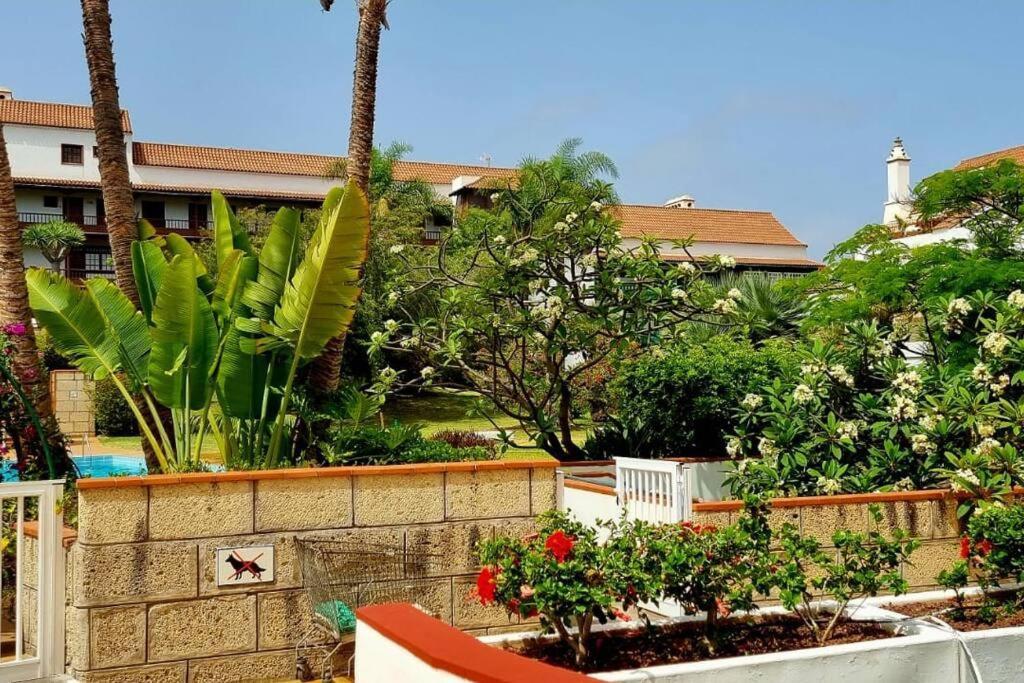 Flordetajinaste Apartment Puerto de la Cruz  Exterior foto